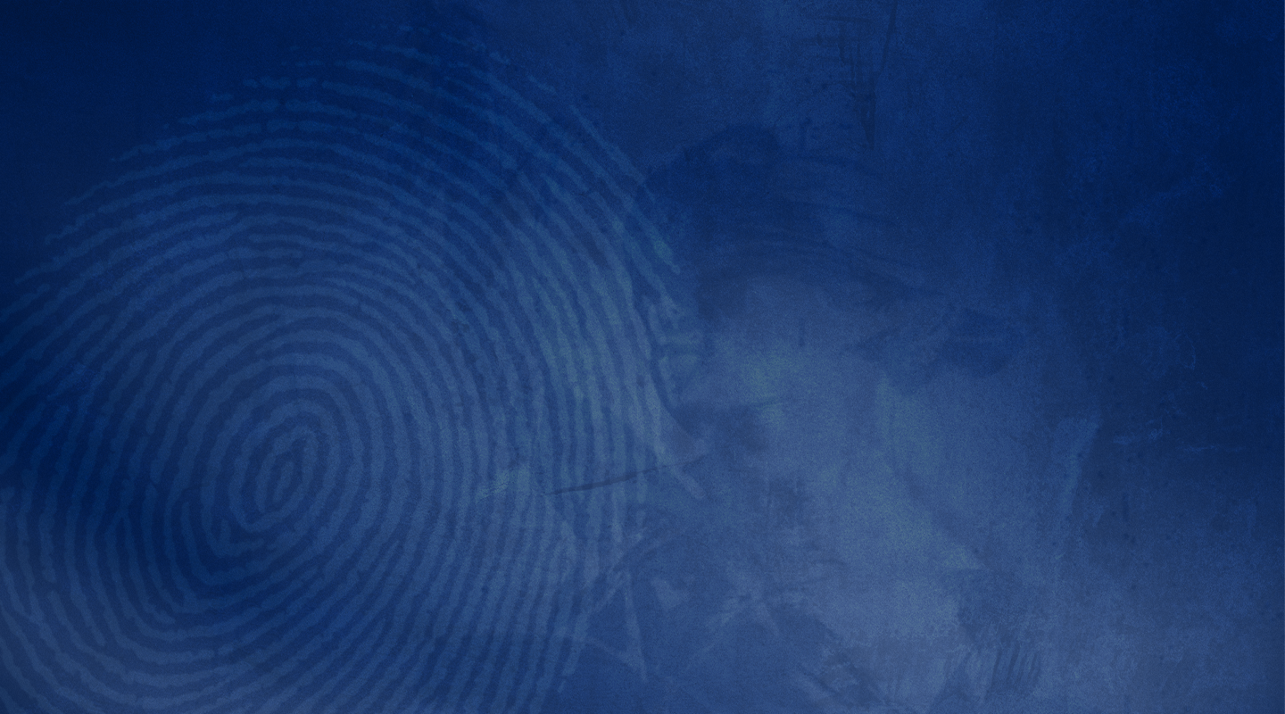 Elections Watch Header